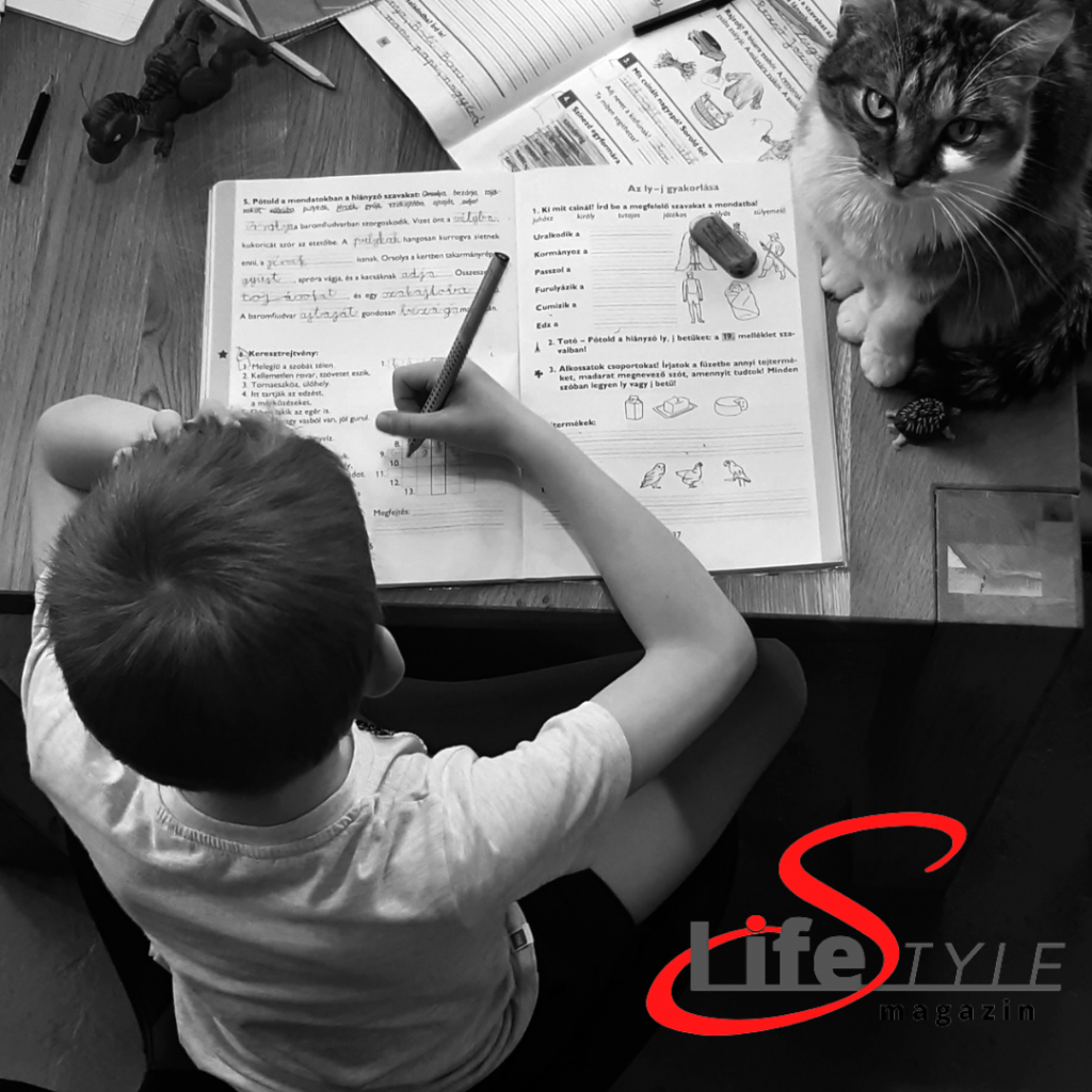 Tanulási zavar - LifestyleMagazin