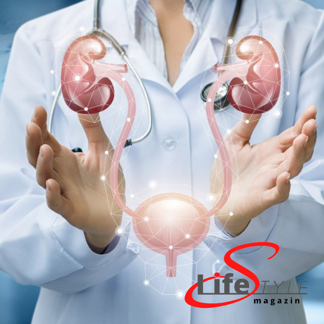 LifetimeMagazin